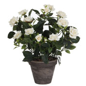 Planta Artificial - Roseira Branco - MICA